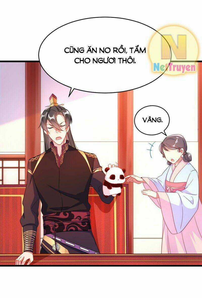 Thiên Thần Gấu Trúc Muốn Được Ôm Chapter 12 trang 19