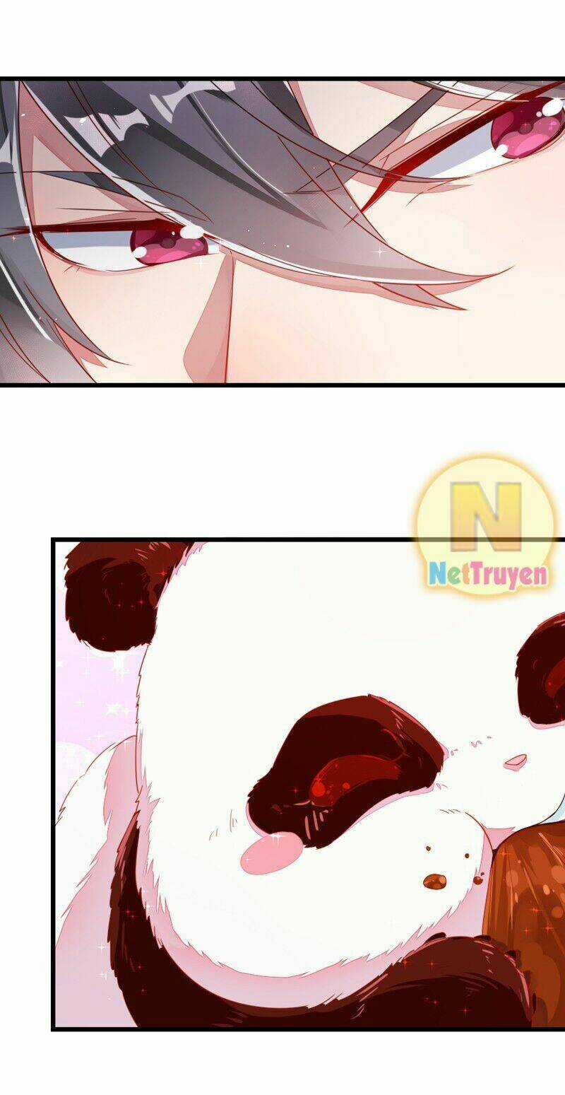 Thiên Thần Gấu Trúc Muốn Được Ôm Chapter 12 trang 4