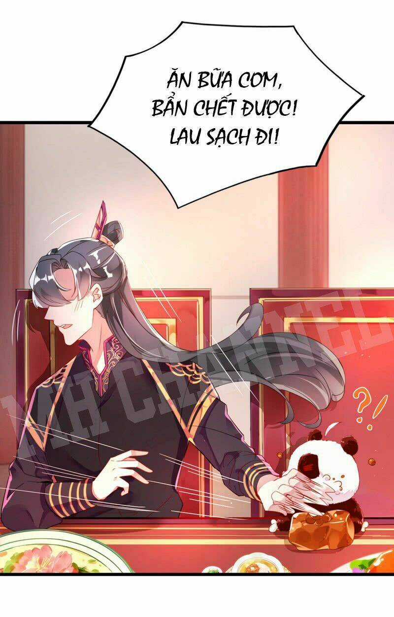 Thiên Thần Gấu Trúc Muốn Được Ôm Chapter 12 trang 7