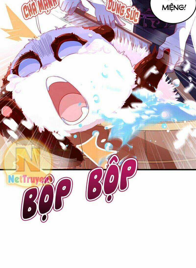 Thiên Thần Gấu Trúc Muốn Được Ôm Chapter 13 trang 12