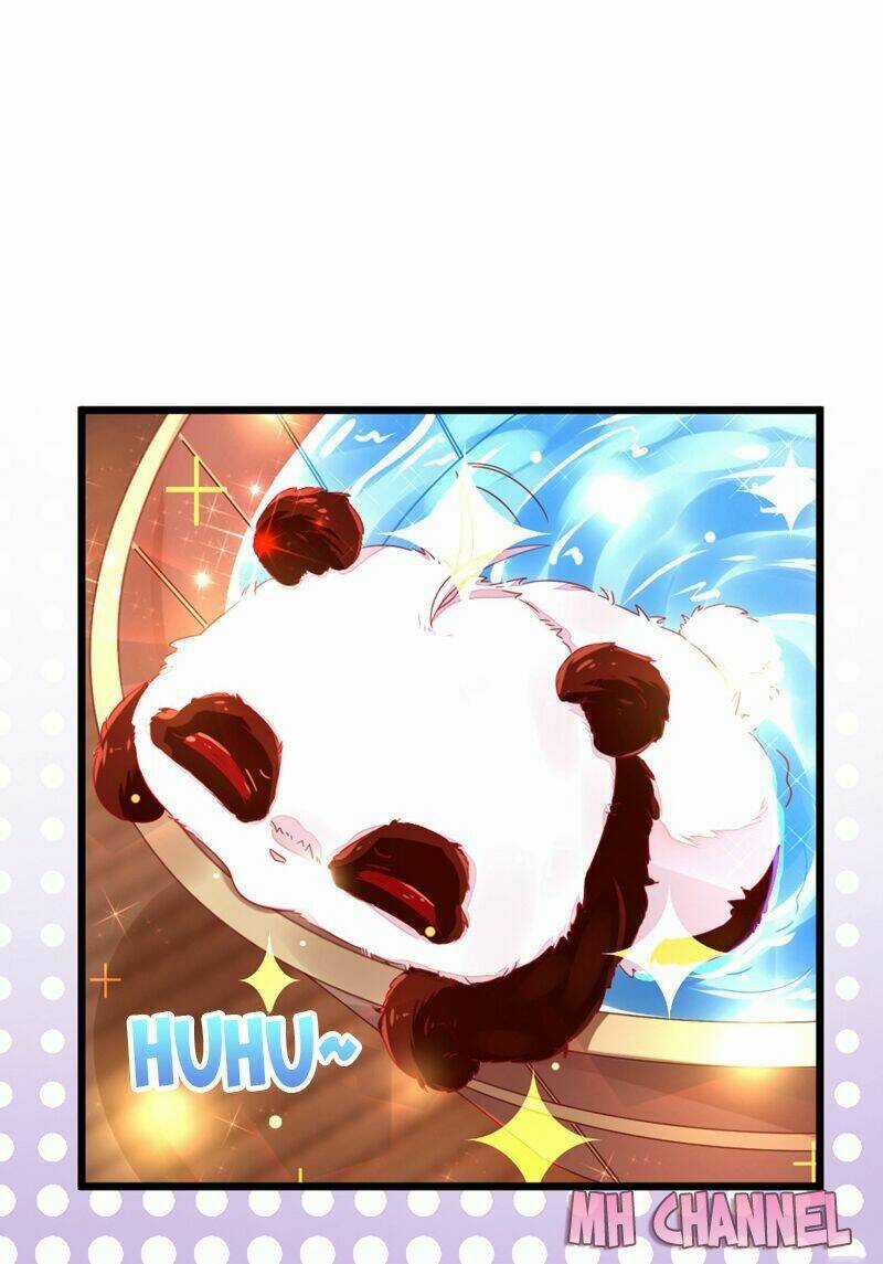 Thiên Thần Gấu Trúc Muốn Được Ôm Chapter 13 trang 13