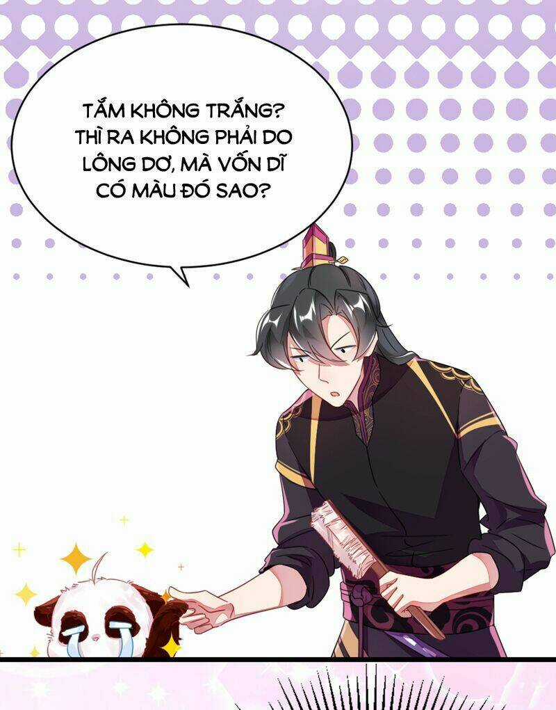 Thiên Thần Gấu Trúc Muốn Được Ôm Chapter 13 trang 14