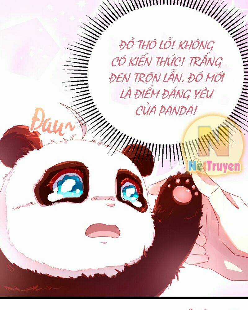 Thiên Thần Gấu Trúc Muốn Được Ôm Chapter 13 trang 15