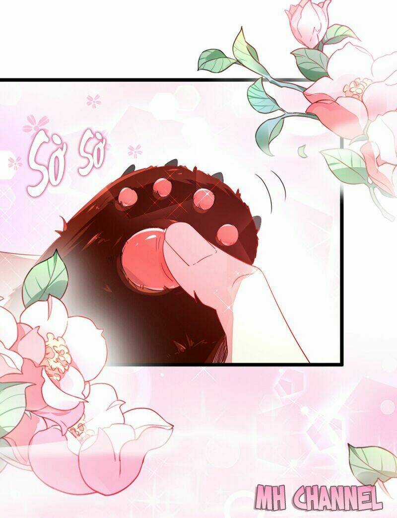 Thiên Thần Gấu Trúc Muốn Được Ôm Chapter 13 trang 16