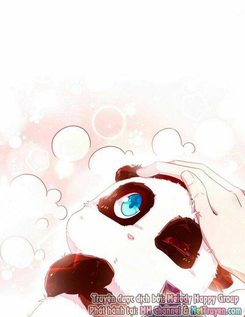 Thiên Thần Gấu Trúc Muốn Được Ôm Chapter 13 trang 19