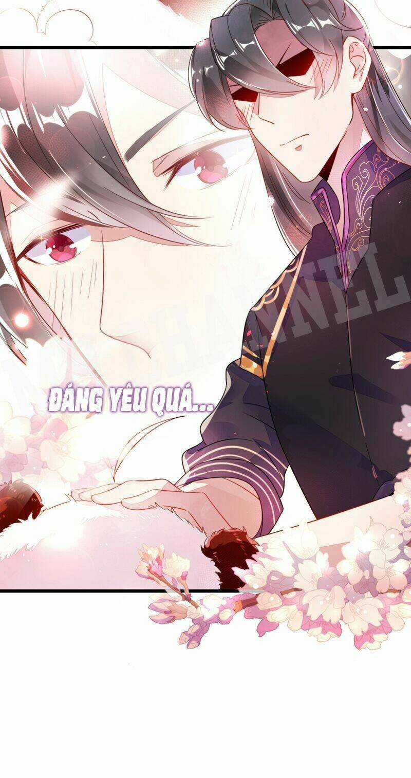 Thiên Thần Gấu Trúc Muốn Được Ôm Chapter 13 trang 20