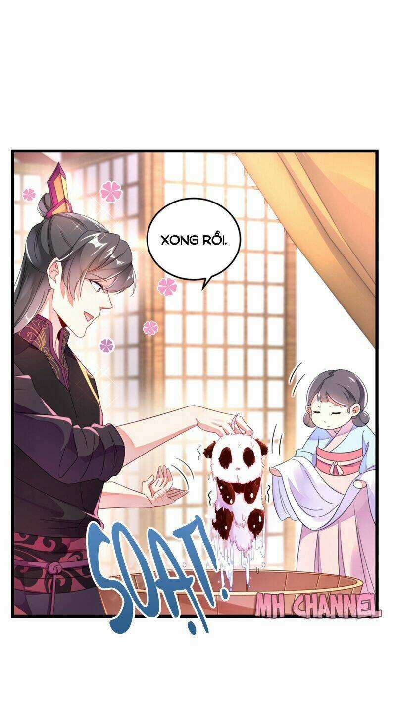 Thiên Thần Gấu Trúc Muốn Được Ôm Chapter 13 trang 21