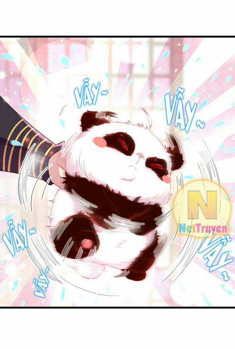 Thiên Thần Gấu Trúc Muốn Được Ôm Chapter 13 trang 22