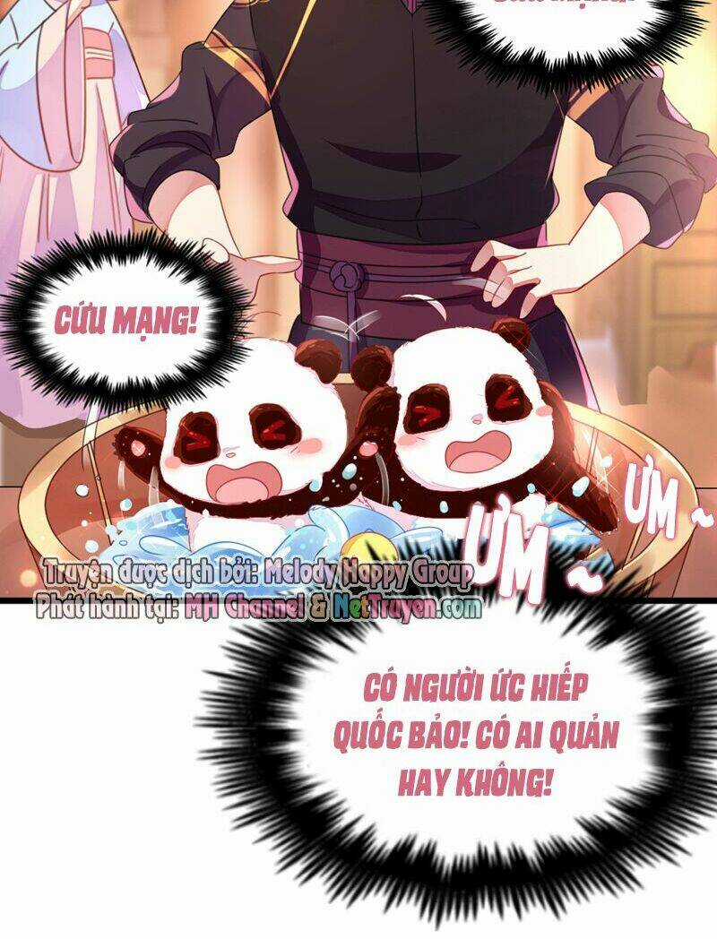 Thiên Thần Gấu Trúc Muốn Được Ôm Chapter 13 trang 5