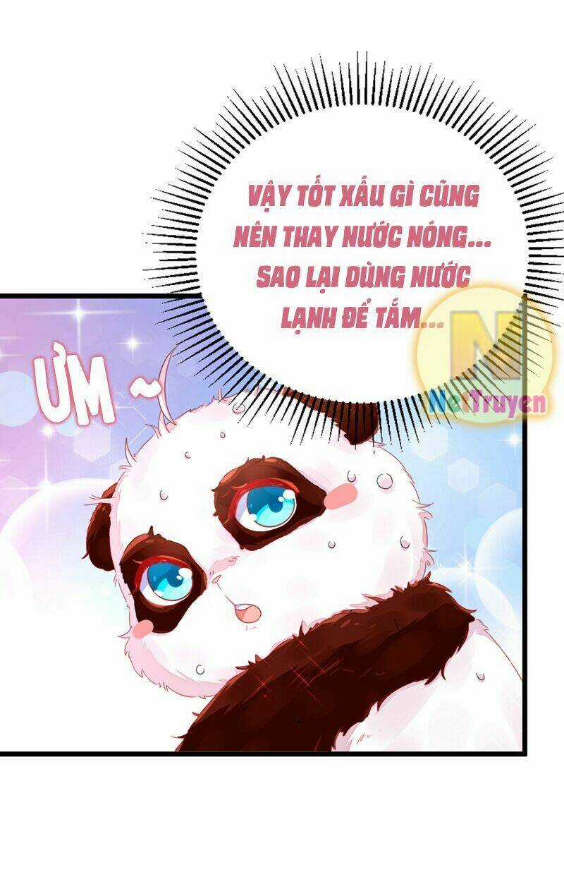 Thiên Thần Gấu Trúc Muốn Được Ôm Chapter 13 trang 8