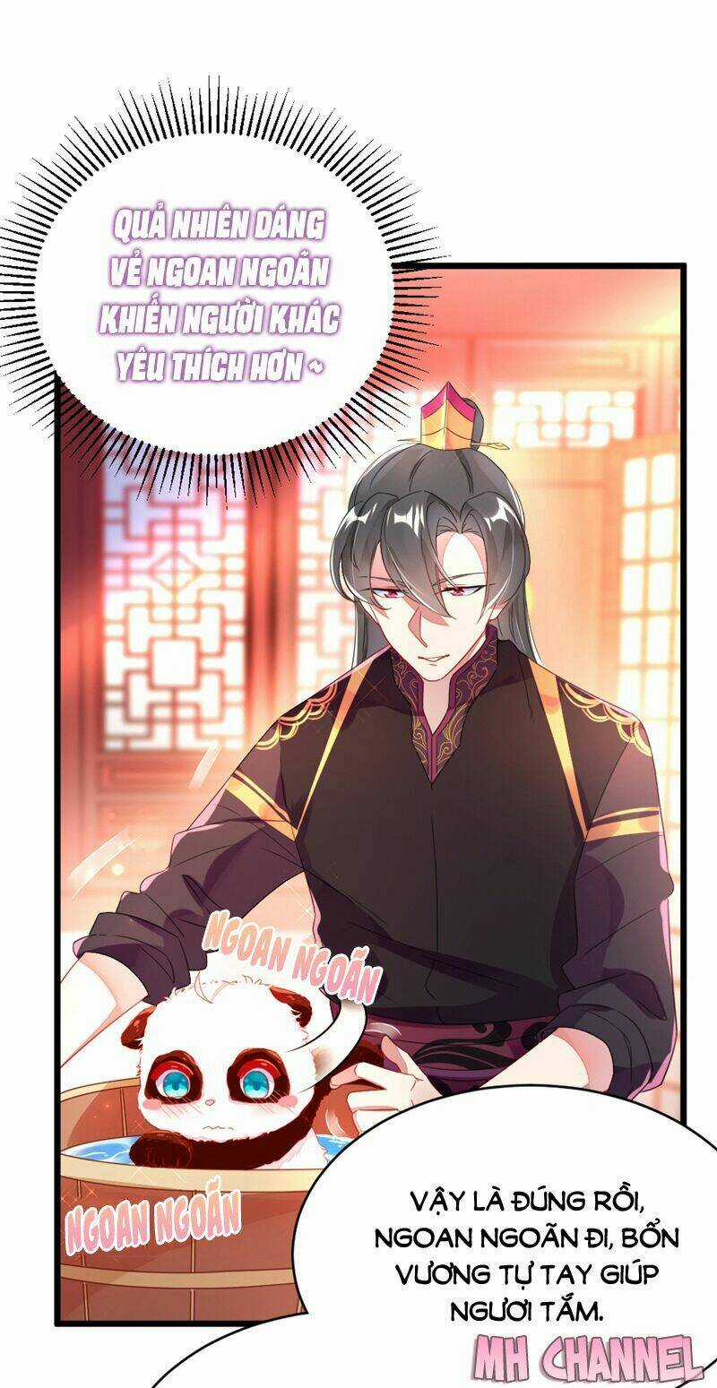 Thiên Thần Gấu Trúc Muốn Được Ôm Chapter 13 trang 9