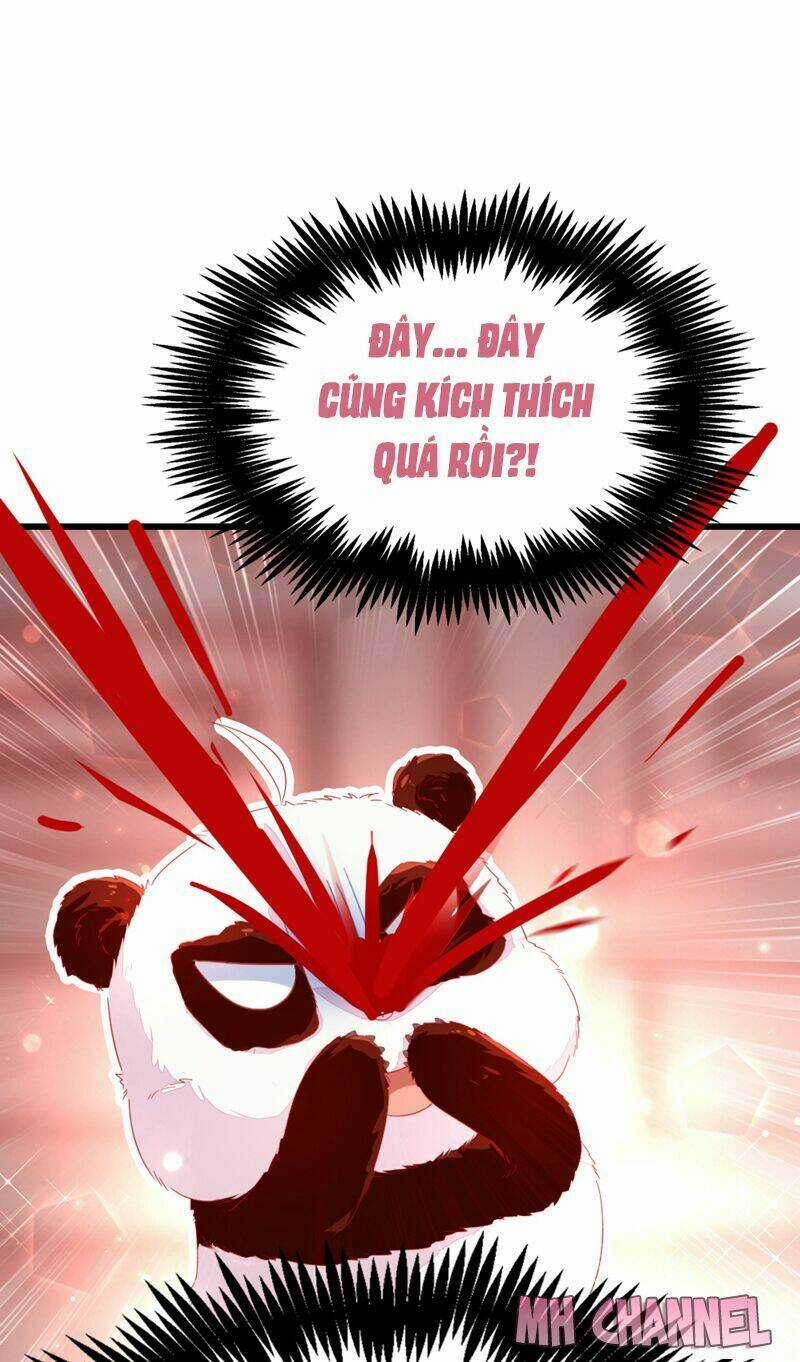 Thiên Thần Gấu Trúc Muốn Được Ôm Chapter 14 trang 16