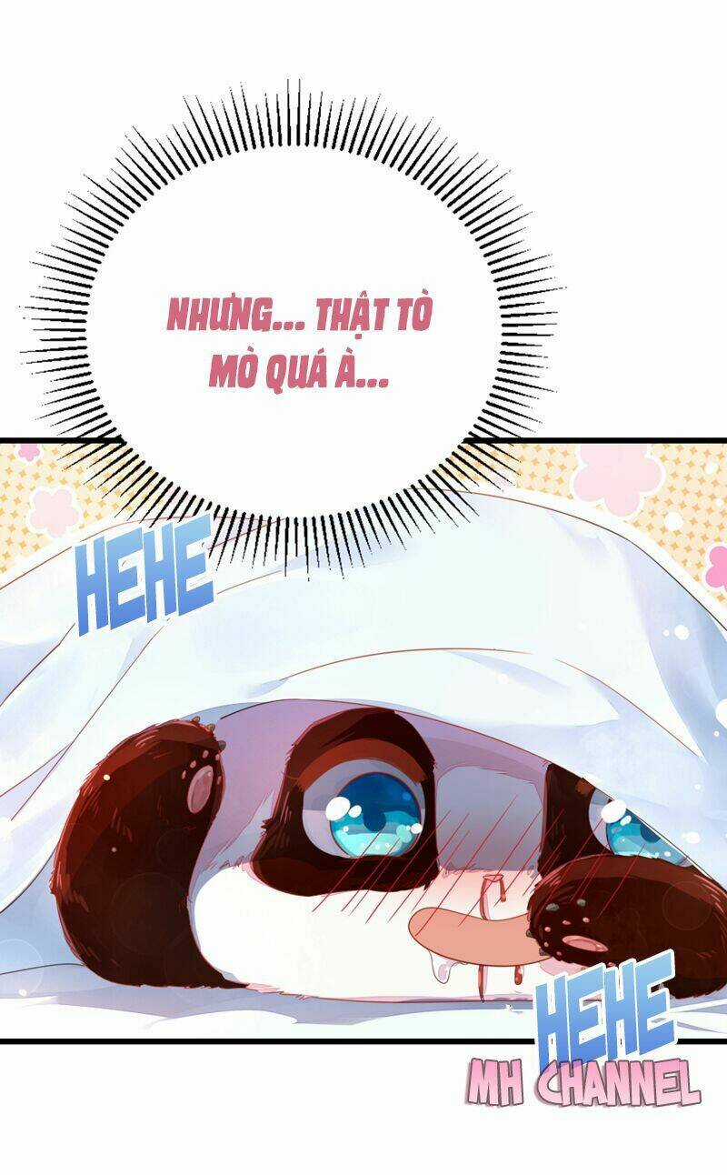 Thiên Thần Gấu Trúc Muốn Được Ôm Chapter 14 trang 19