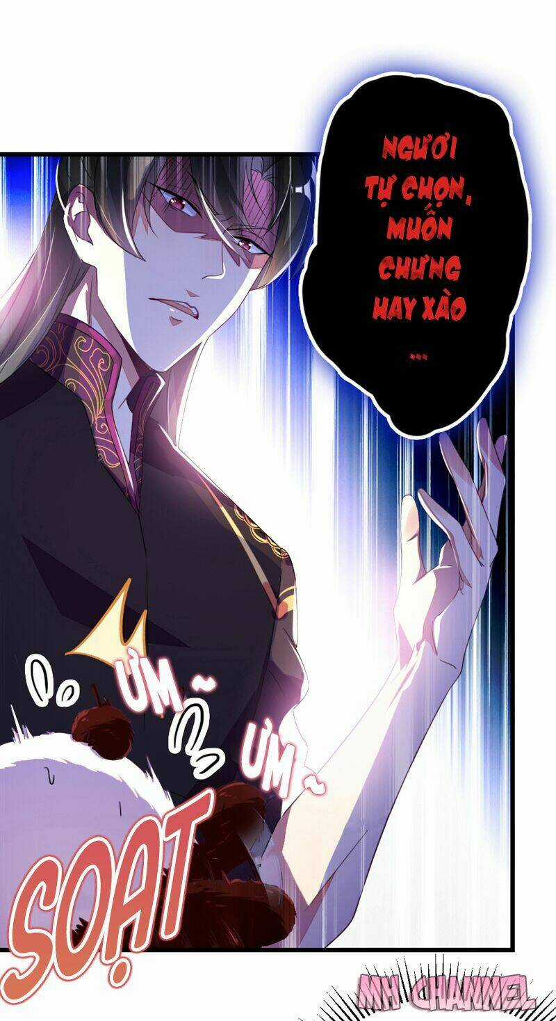 Thiên Thần Gấu Trúc Muốn Được Ôm Chapter 14 trang 6