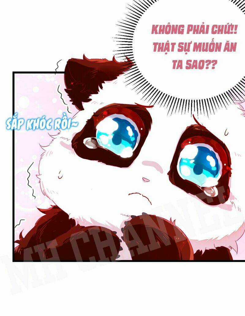 Thiên Thần Gấu Trúc Muốn Được Ôm Chapter 14 trang 7