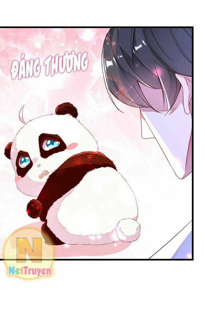 Thiên Thần Gấu Trúc Muốn Được Ôm Chapter 15 trang 12