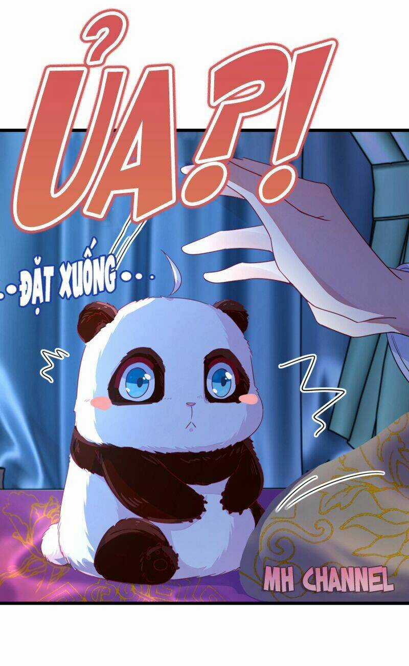 Thiên Thần Gấu Trúc Muốn Được Ôm Chapter 15 trang 16