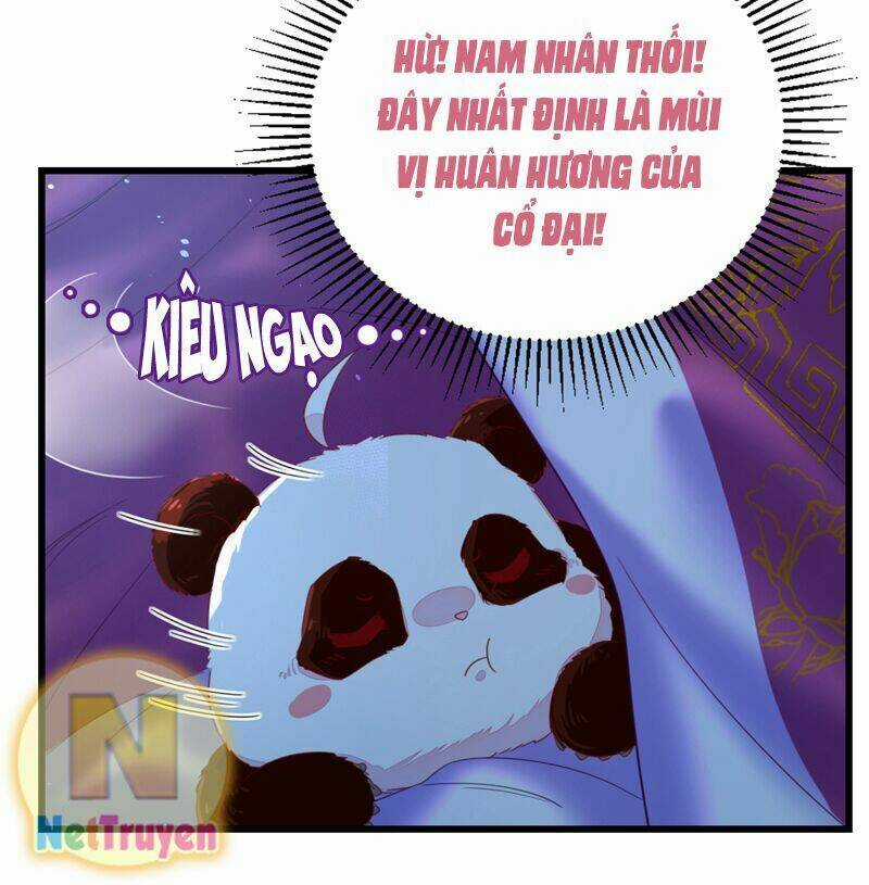 Thiên Thần Gấu Trúc Muốn Được Ôm Chapter 16 trang 11