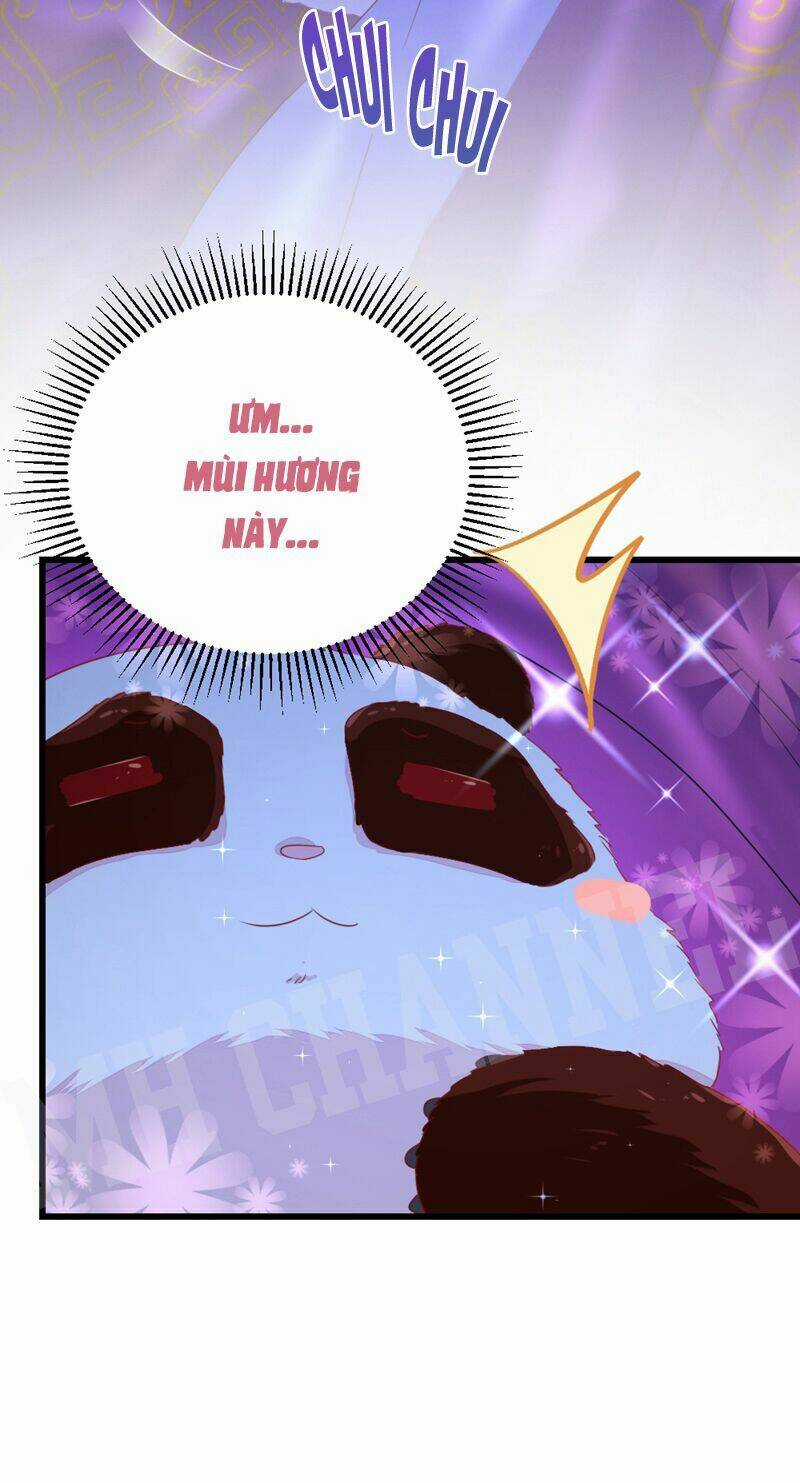 Thiên Thần Gấu Trúc Muốn Được Ôm Chapter 16 trang 9