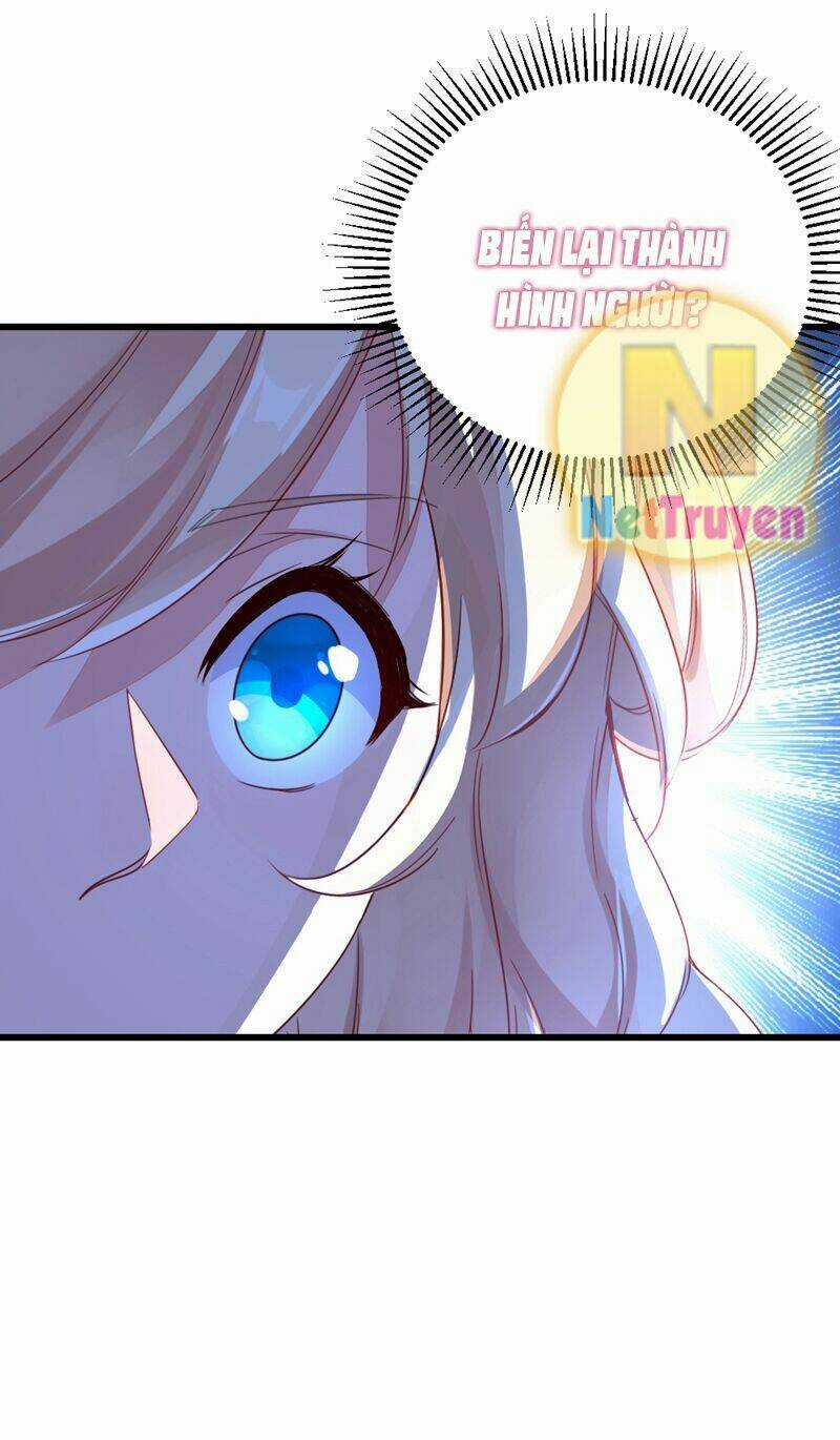 Thiên Thần Gấu Trúc Muốn Được Ôm Chapter 18 trang 16