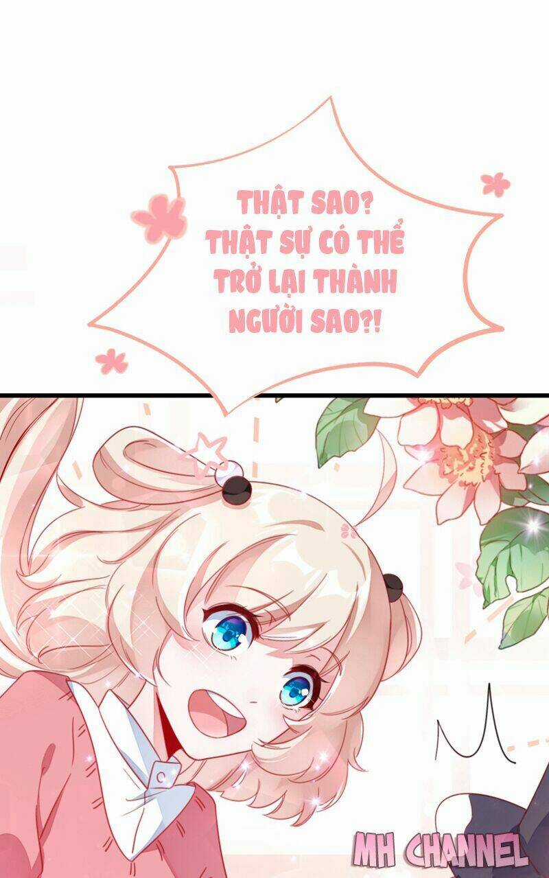 Thiên Thần Gấu Trúc Muốn Được Ôm Chapter 18 trang 17