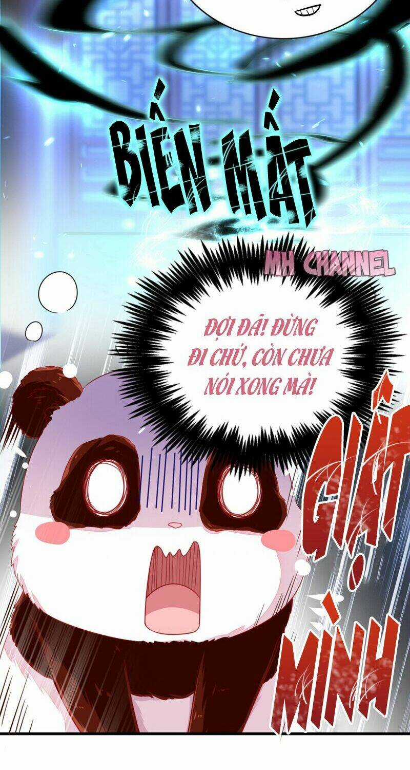 Thiên Thần Gấu Trúc Muốn Được Ôm Chapter 19 trang 11