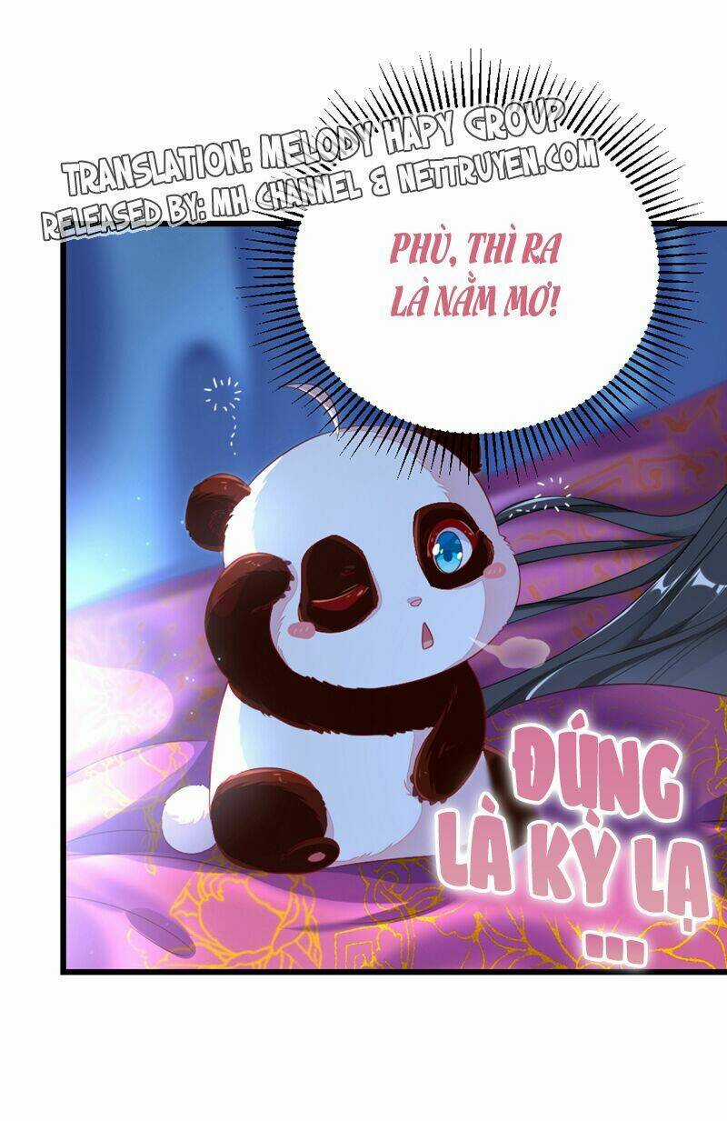 Thiên Thần Gấu Trúc Muốn Được Ôm Chapter 19 trang 12