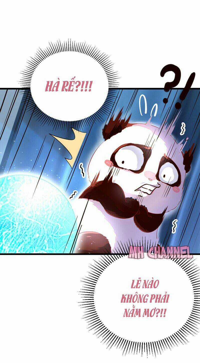 Thiên Thần Gấu Trúc Muốn Được Ôm Chapter 19 trang 13