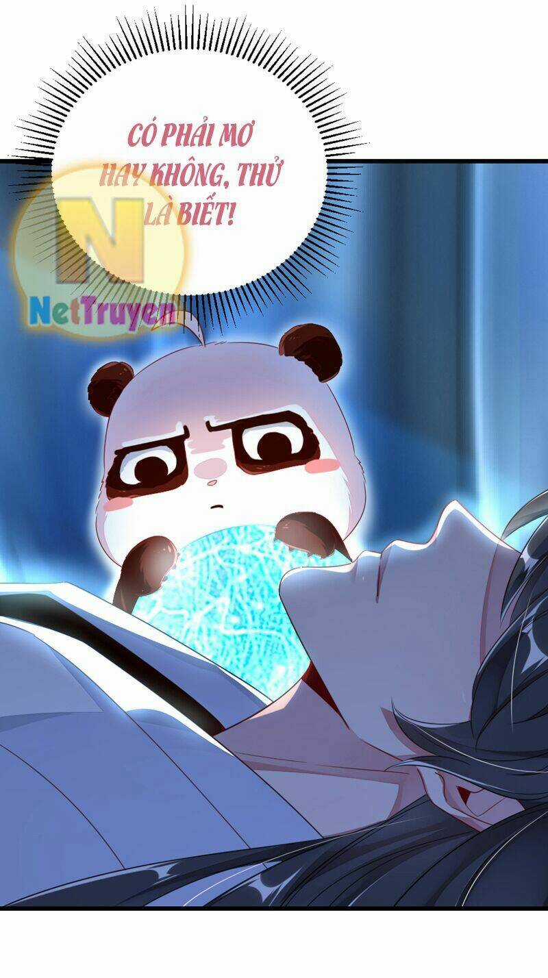 Thiên Thần Gấu Trúc Muốn Được Ôm Chapter 19 trang 14