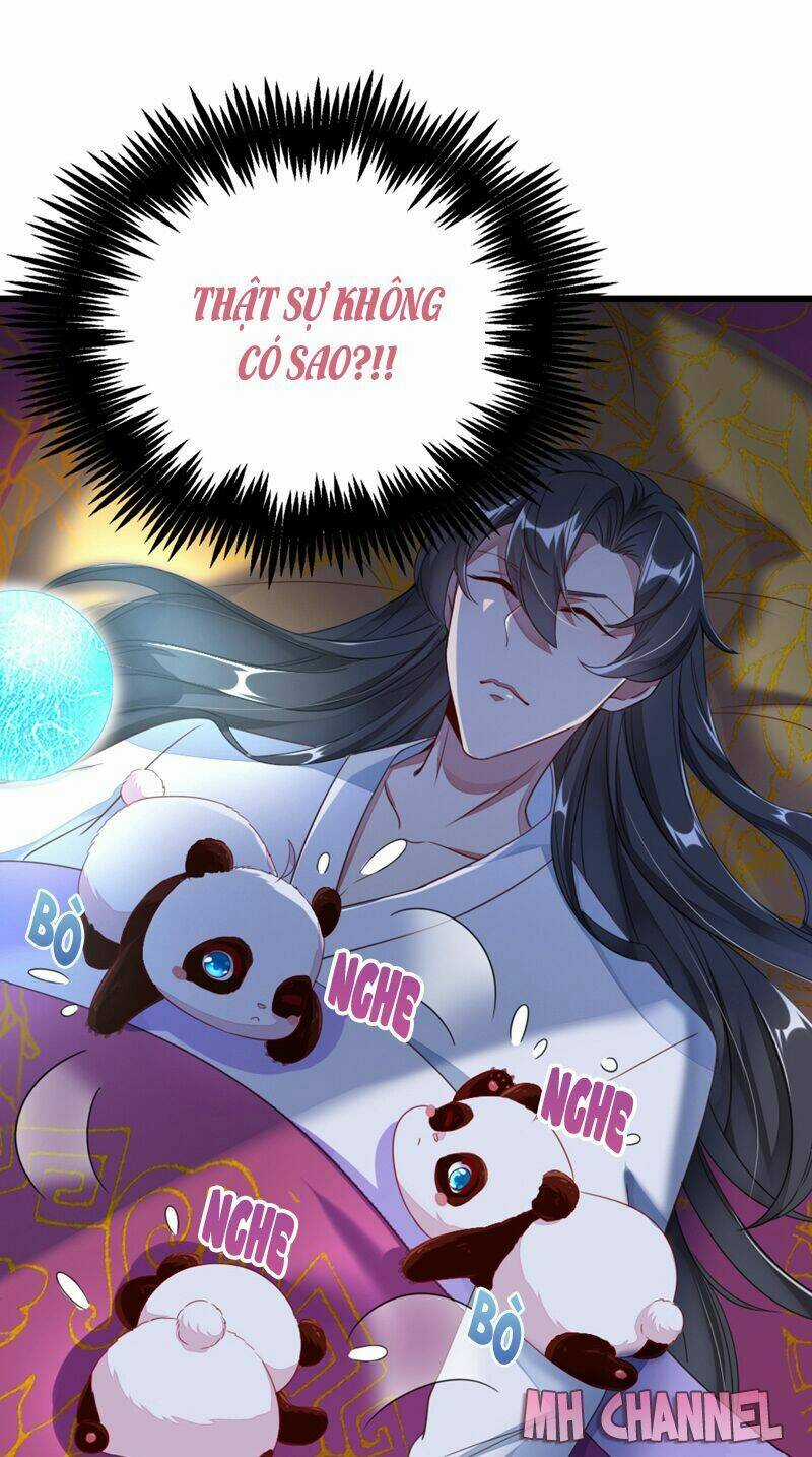 Thiên Thần Gấu Trúc Muốn Được Ôm Chapter 19 trang 15