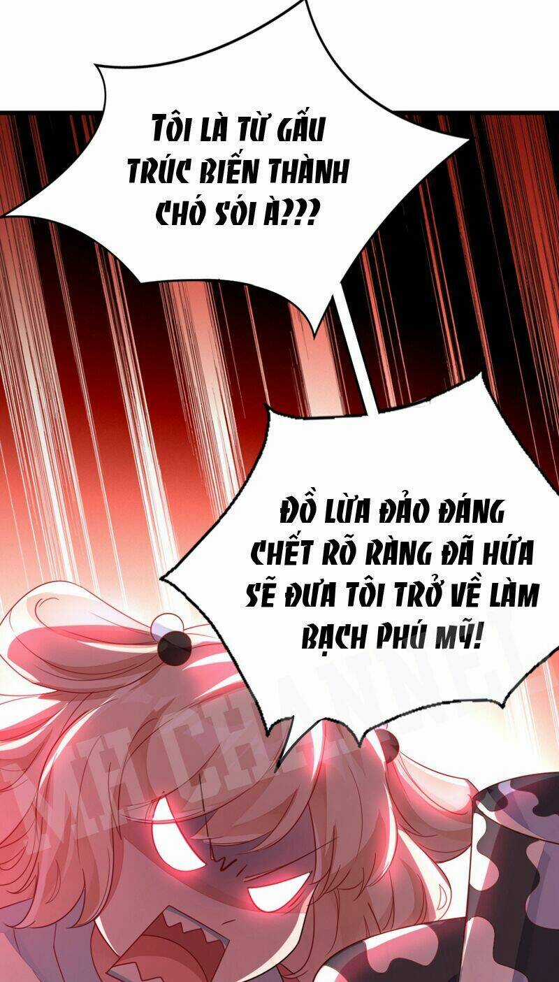 Thiên Thần Gấu Trúc Muốn Được Ôm Chapter 19 trang 5