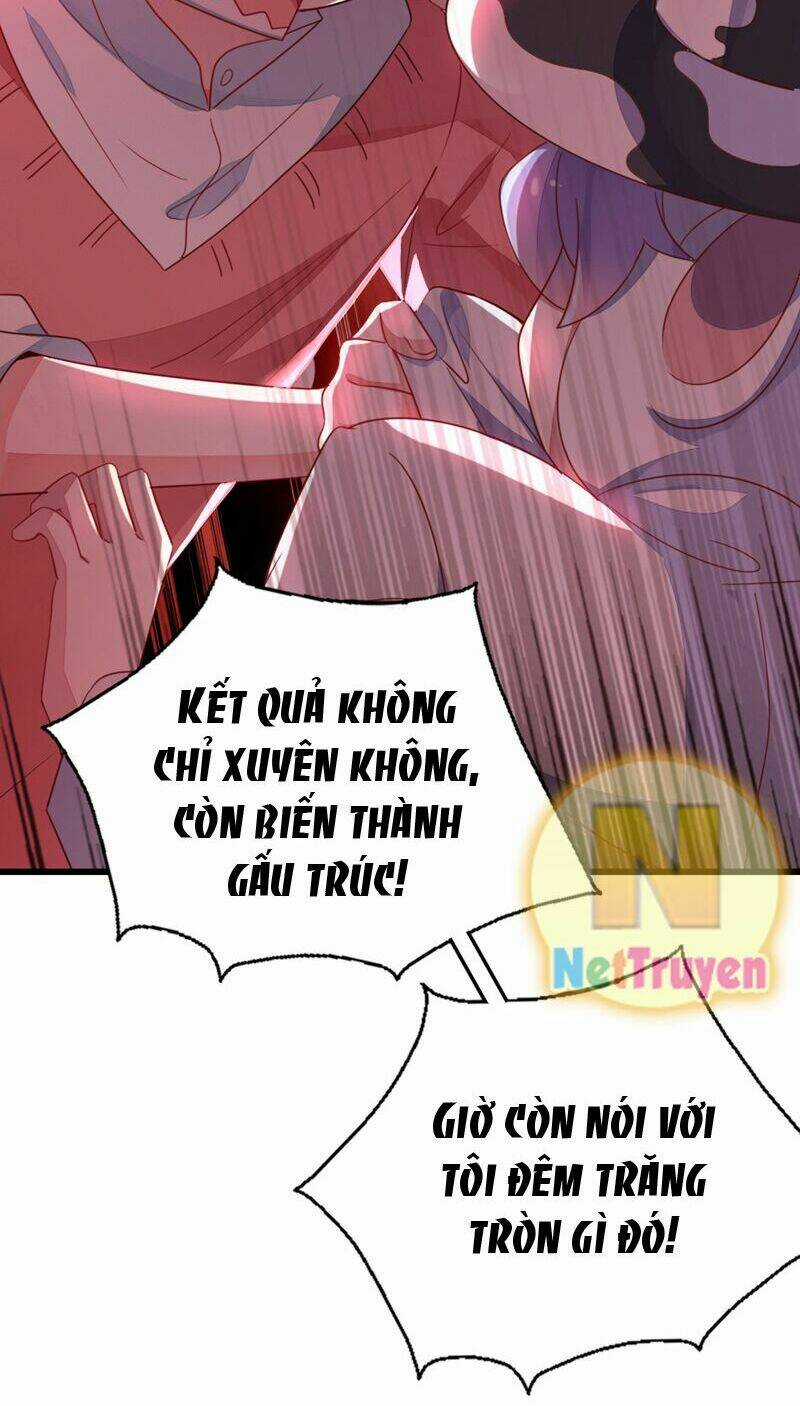 Thiên Thần Gấu Trúc Muốn Được Ôm Chapter 19 trang 6