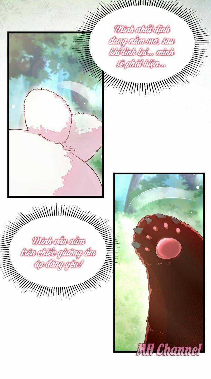 Thiên Thần Gấu Trúc Muốn Được Ôm Chapter 2 trang 30