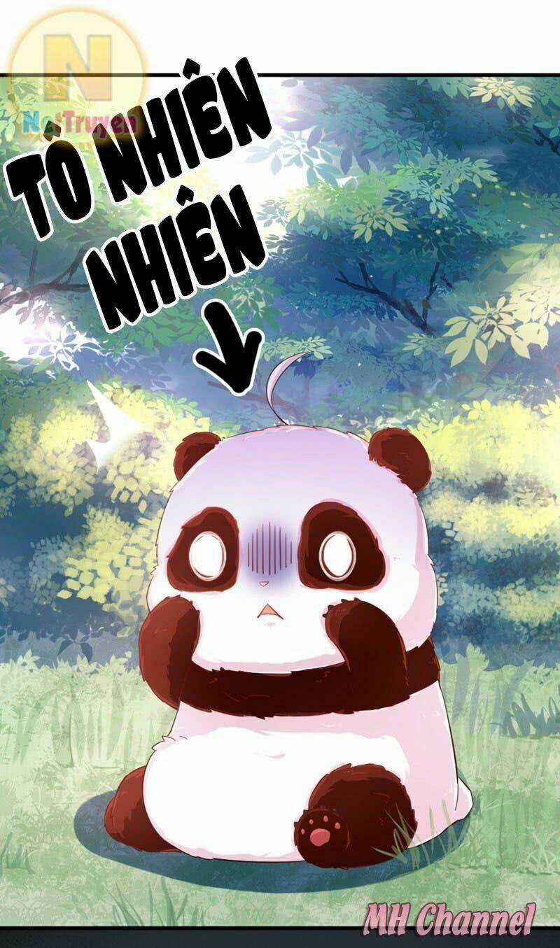 Thiên Thần Gấu Trúc Muốn Được Ôm Chapter 2 trang 31