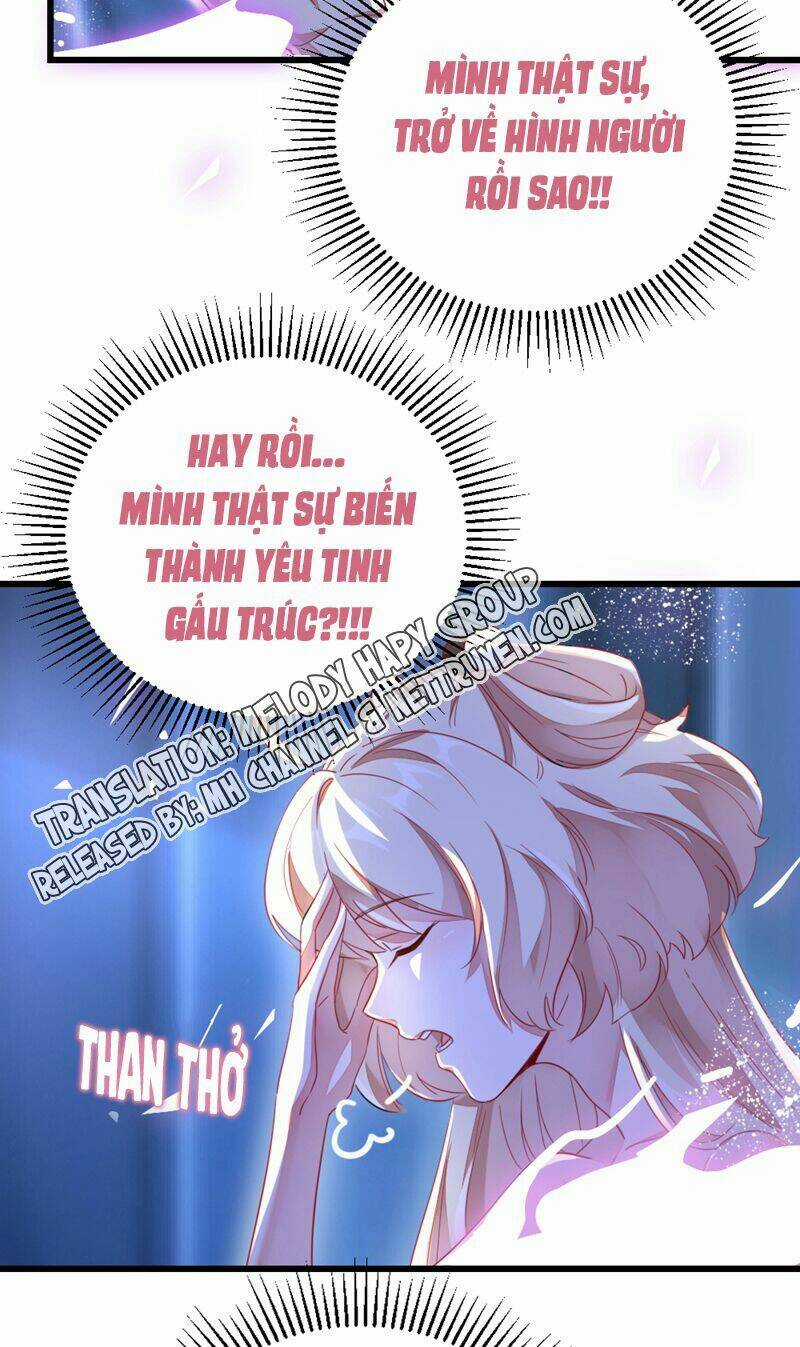 Thiên Thần Gấu Trúc Muốn Được Ôm Chapter 20 trang 12