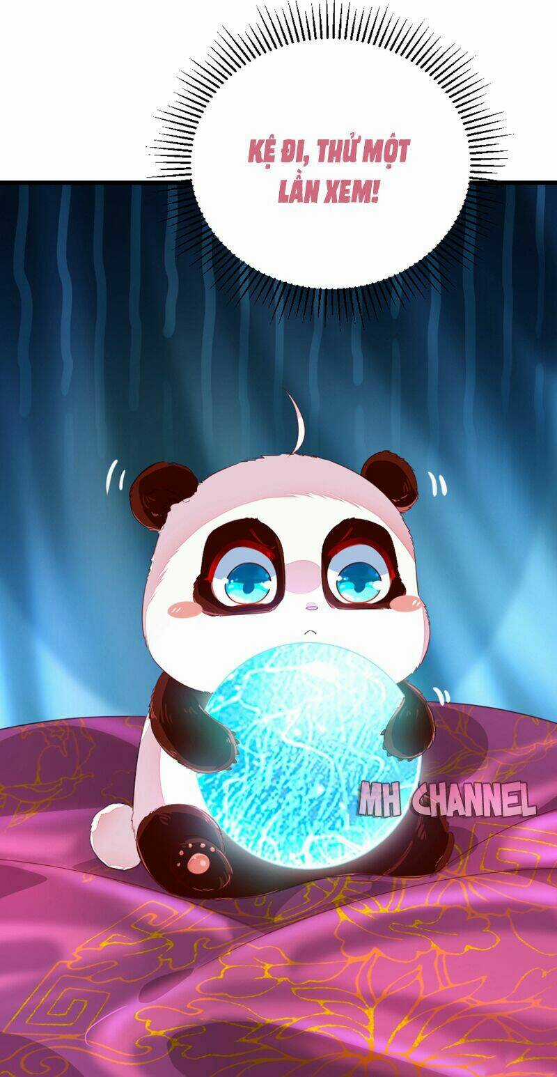 Thiên Thần Gấu Trúc Muốn Được Ôm Chapter 20 trang 7