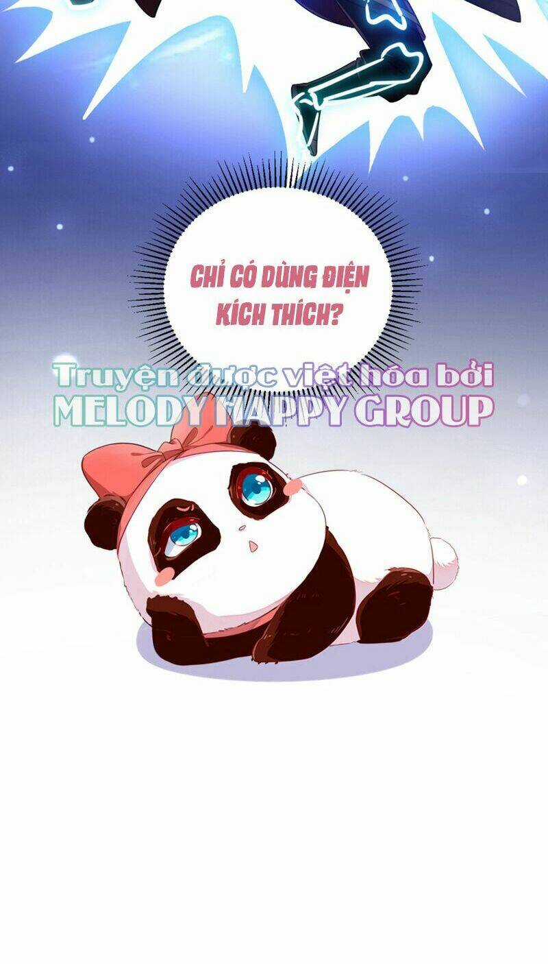 Thiên Thần Gấu Trúc Muốn Được Ôm Chapter 22 trang 17