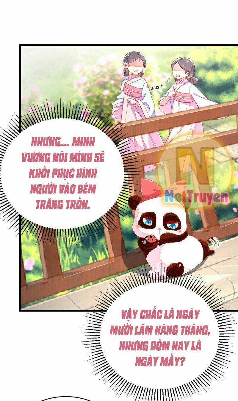 Thiên Thần Gấu Trúc Muốn Được Ôm Chapter 23 trang 11