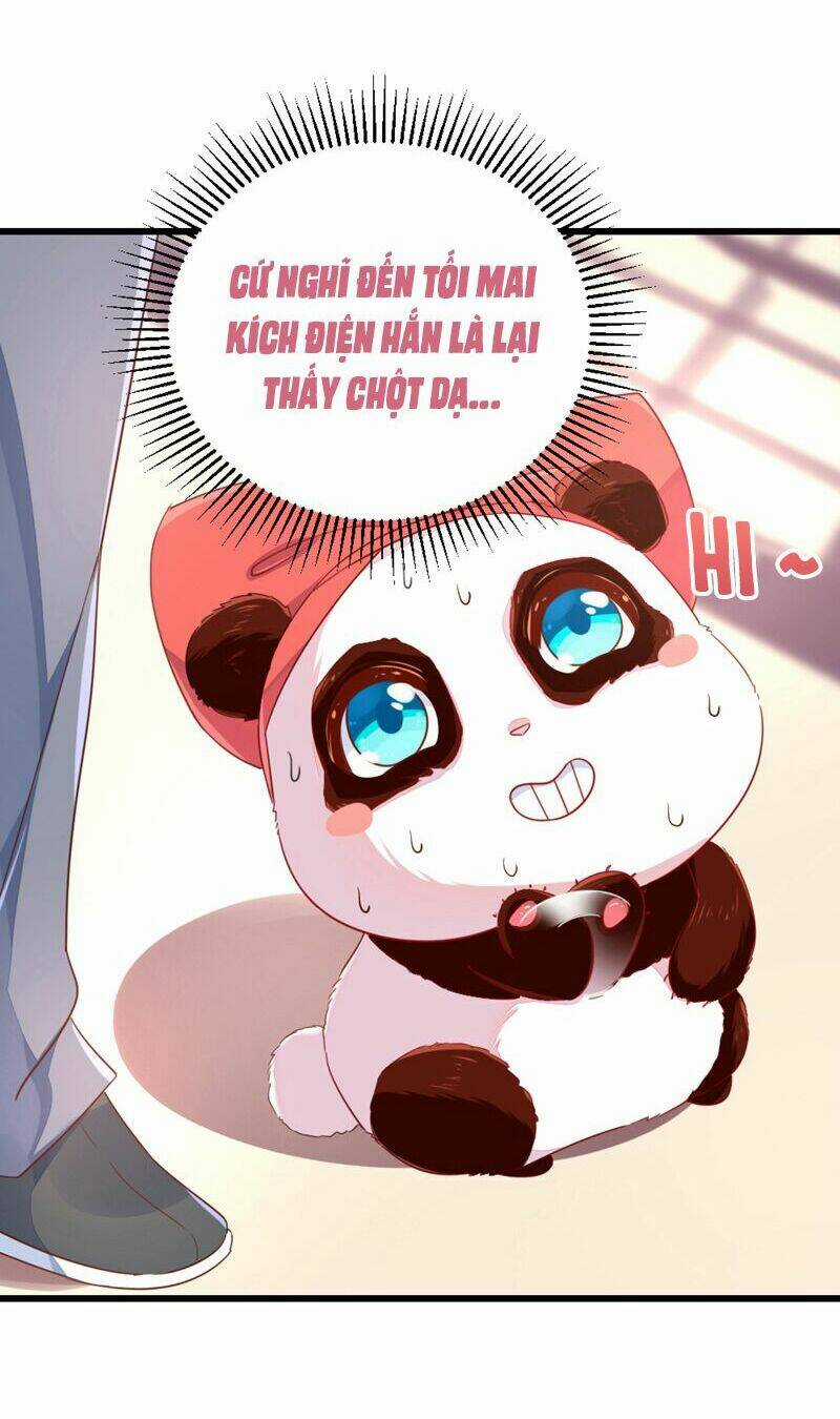 Thiên Thần Gấu Trúc Muốn Được Ôm Chapter 23 trang 16