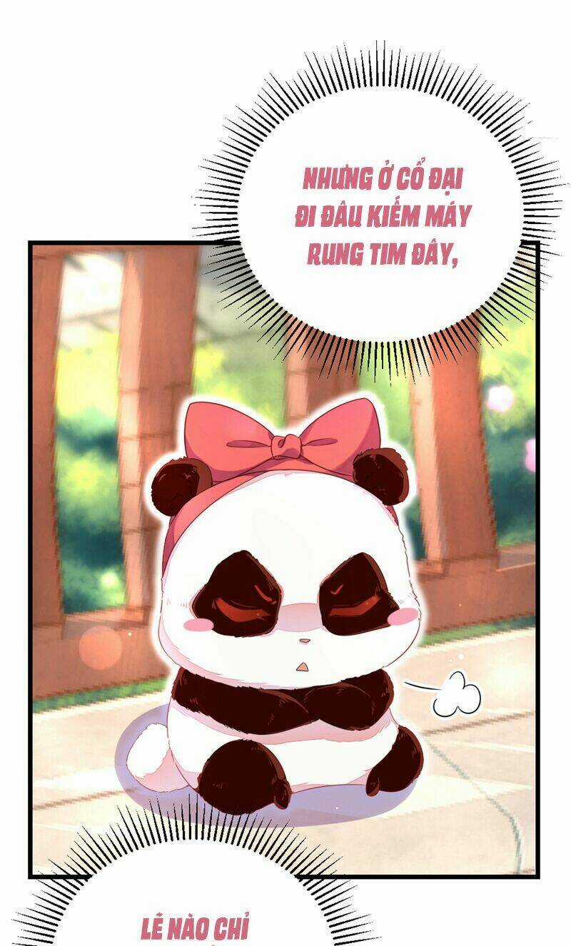 Thiên Thần Gấu Trúc Muốn Được Ôm Chapter 23 trang 5