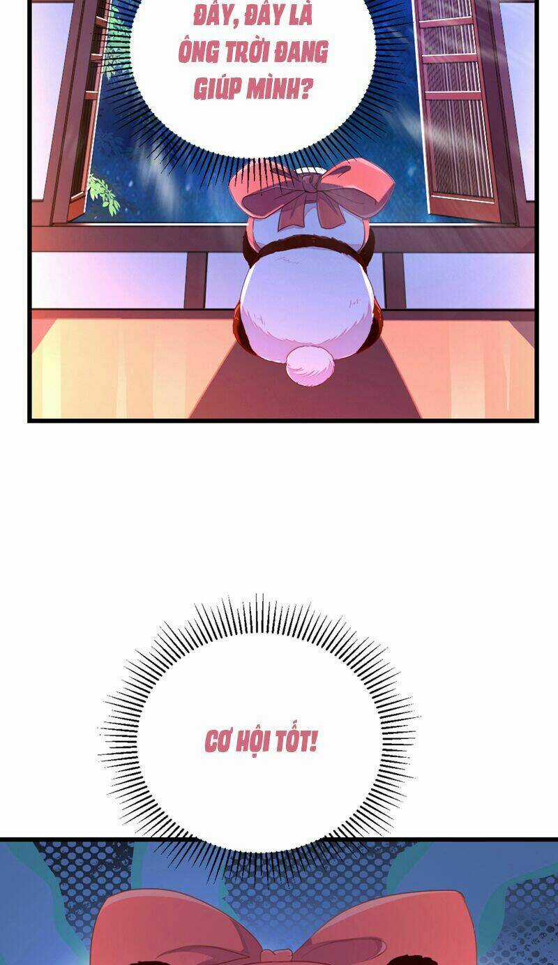 Thiên Thần Gấu Trúc Muốn Được Ôm Chapter 24 trang 17