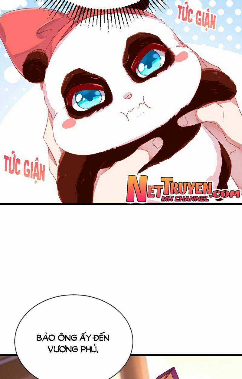 Thiên Thần Gấu Trúc Muốn Được Ôm Chapter 24 trang 8