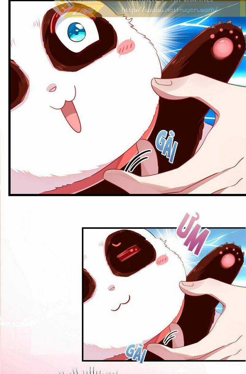 Thiên Thần Gấu Trúc Muốn Được Ôm Chapter 25 trang 10