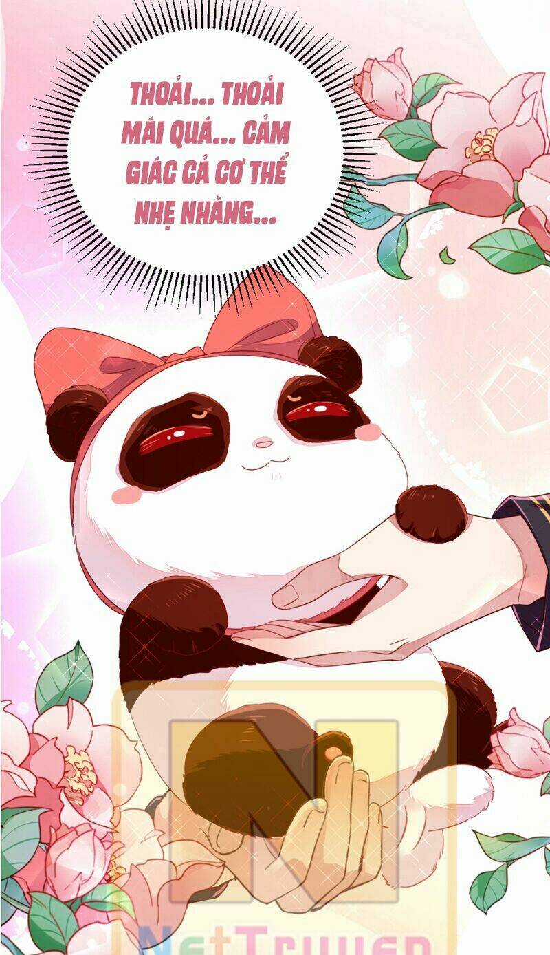 Thiên Thần Gấu Trúc Muốn Được Ôm Chapter 25 trang 11