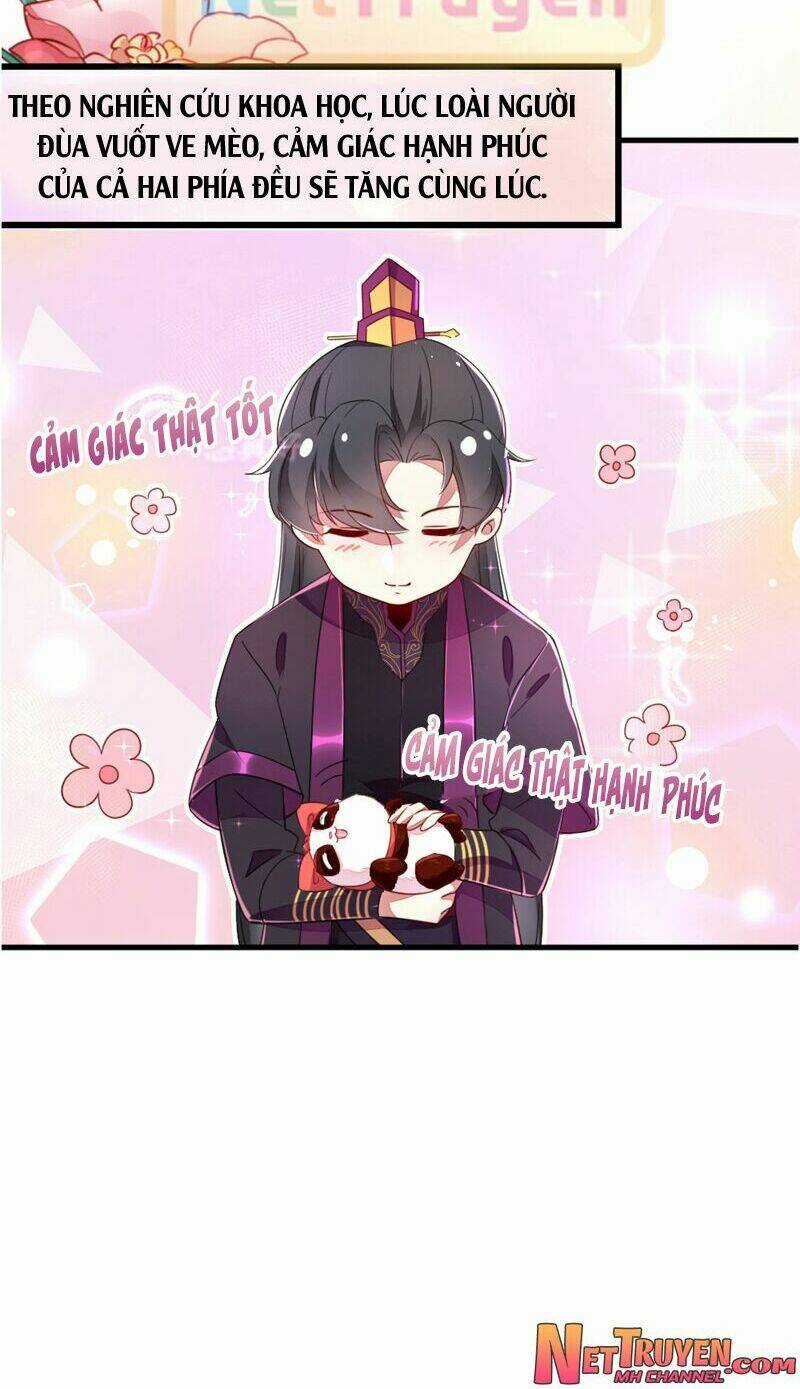 Thiên Thần Gấu Trúc Muốn Được Ôm Chapter 25 trang 12