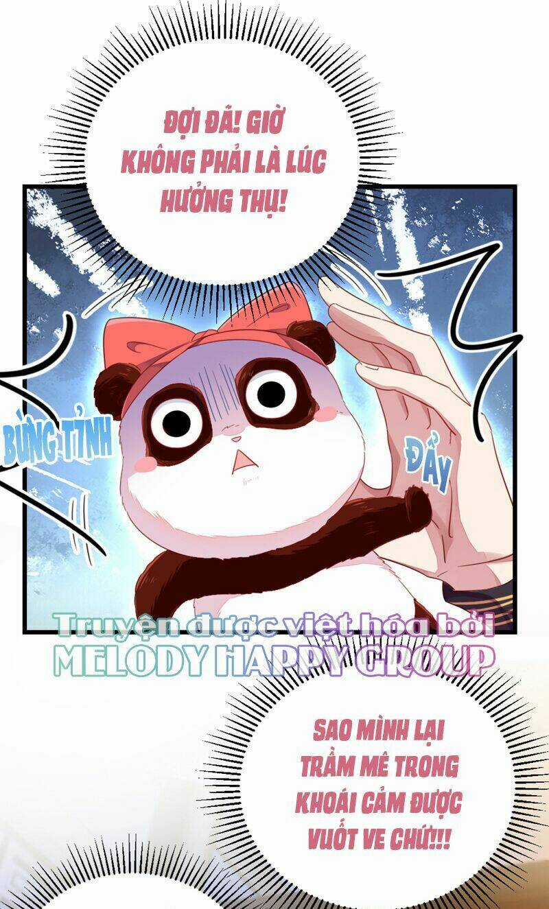 Thiên Thần Gấu Trúc Muốn Được Ôm Chapter 25 trang 13