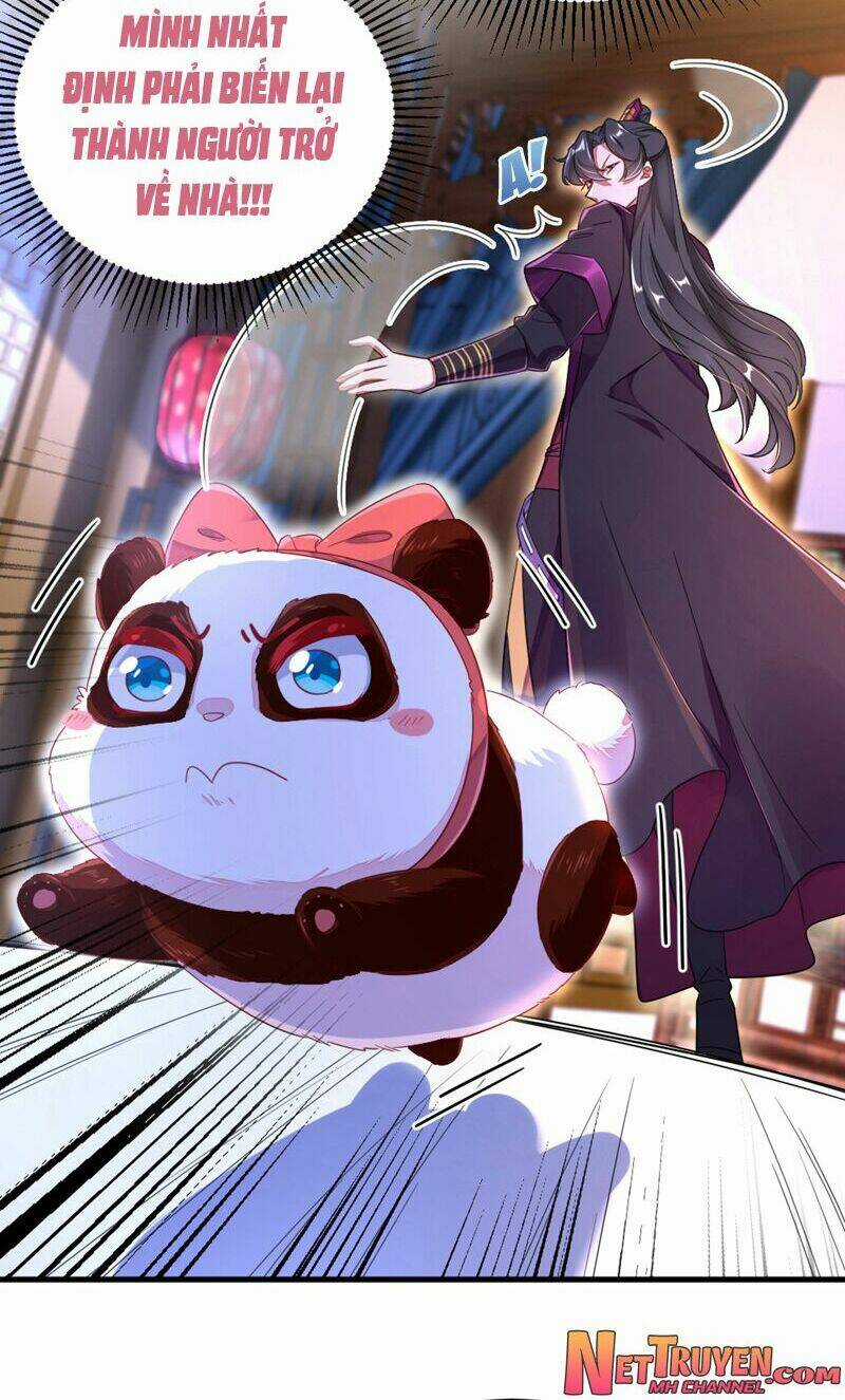 Thiên Thần Gấu Trúc Muốn Được Ôm Chapter 25 trang 14