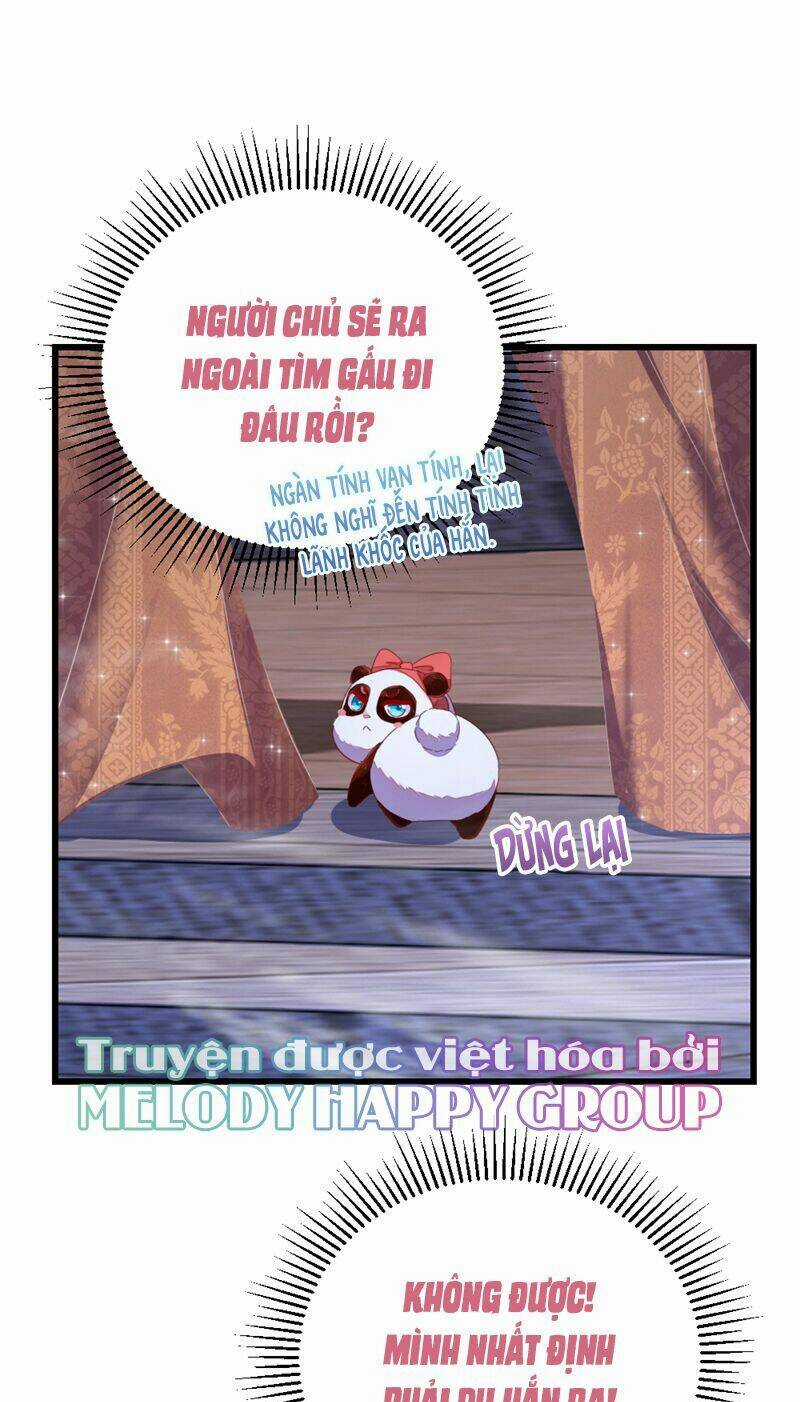 Thiên Thần Gấu Trúc Muốn Được Ôm Chapter 25 trang 17