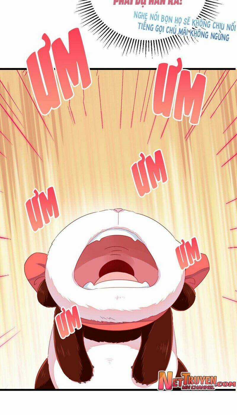 Thiên Thần Gấu Trúc Muốn Được Ôm Chapter 25 trang 18