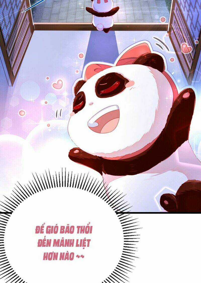 Thiên Thần Gấu Trúc Muốn Được Ôm Chapter 25 trang 4